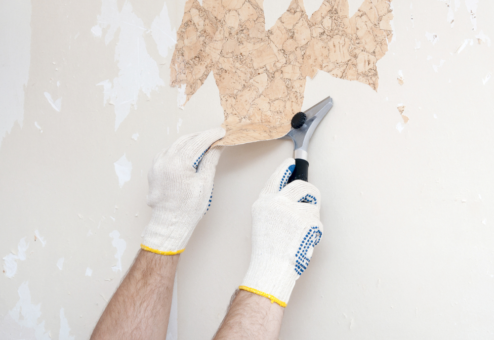 Remove Wallpaper Without Damaging Walls Warehouse