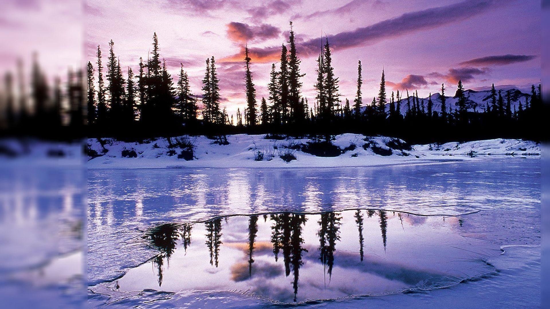 Winter Wallpaper