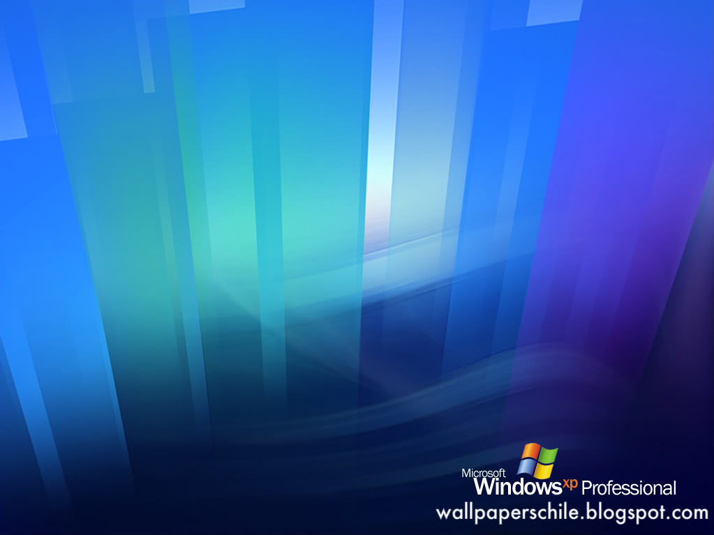 Wallpaper Windows XP Original   htforoscom