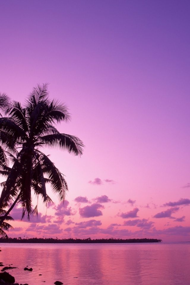Pink iPhone Wallpaper Sunset