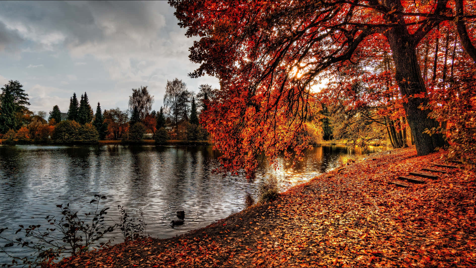 Feel The Air Of Fall With This Stunning 4k Autumn Wallpaper