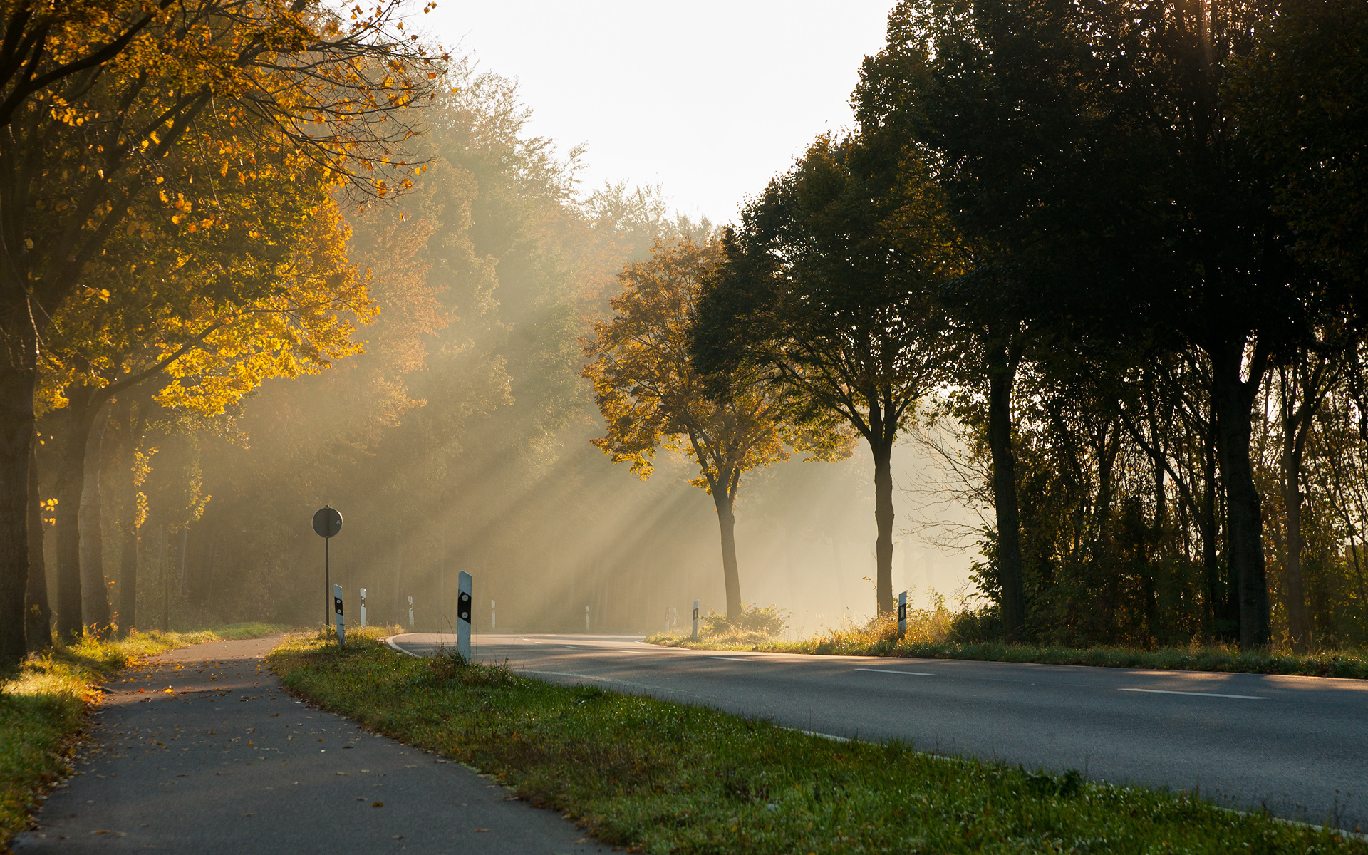 Beautiful Good Morning Pictures
