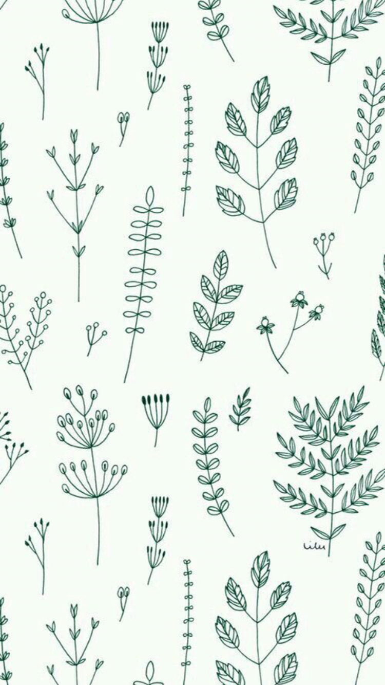 Aalya Raqeema On Pictures Plant Wallpaper iPhone
