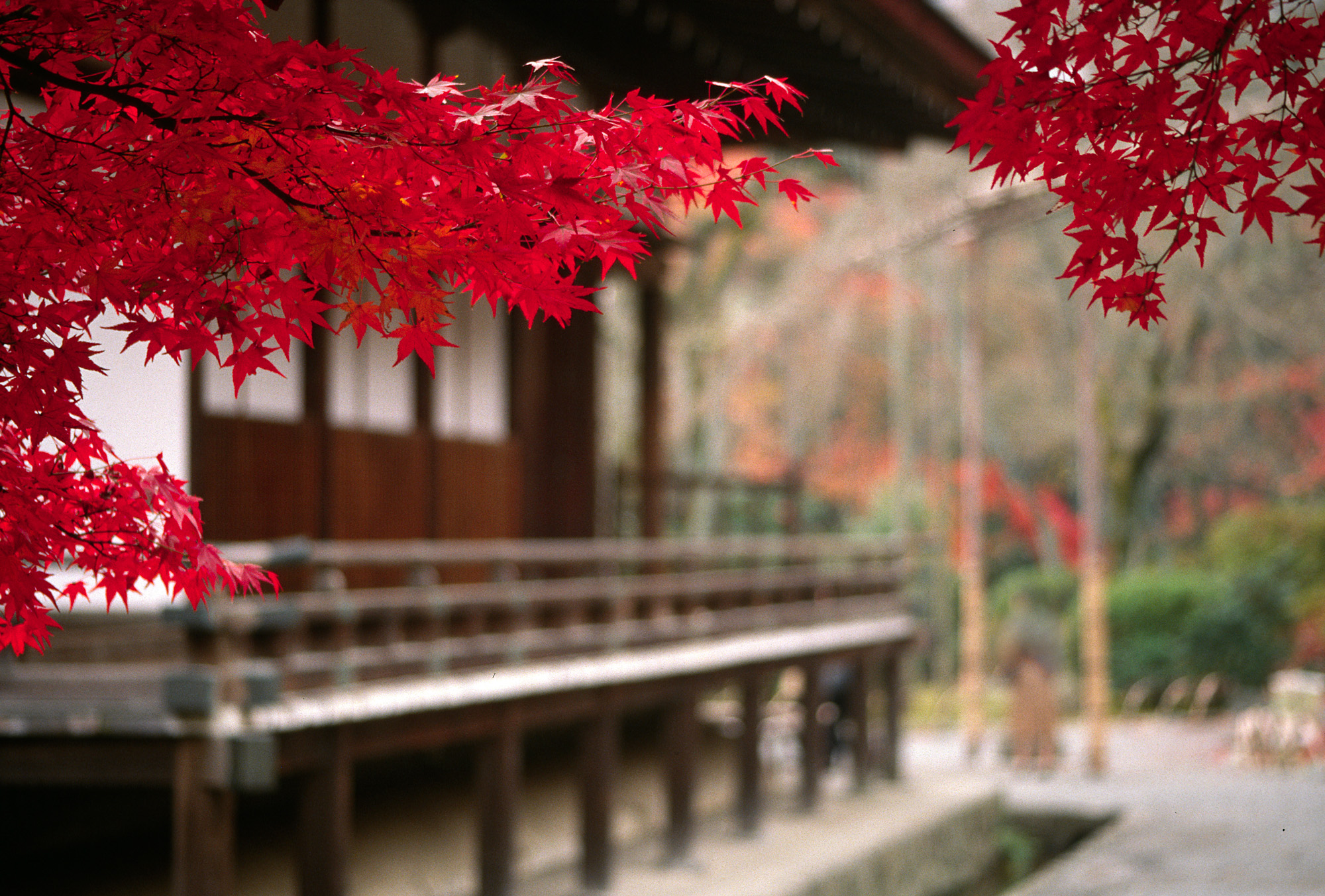 Japan Wallpaper And Image Japanese Temple Scenery