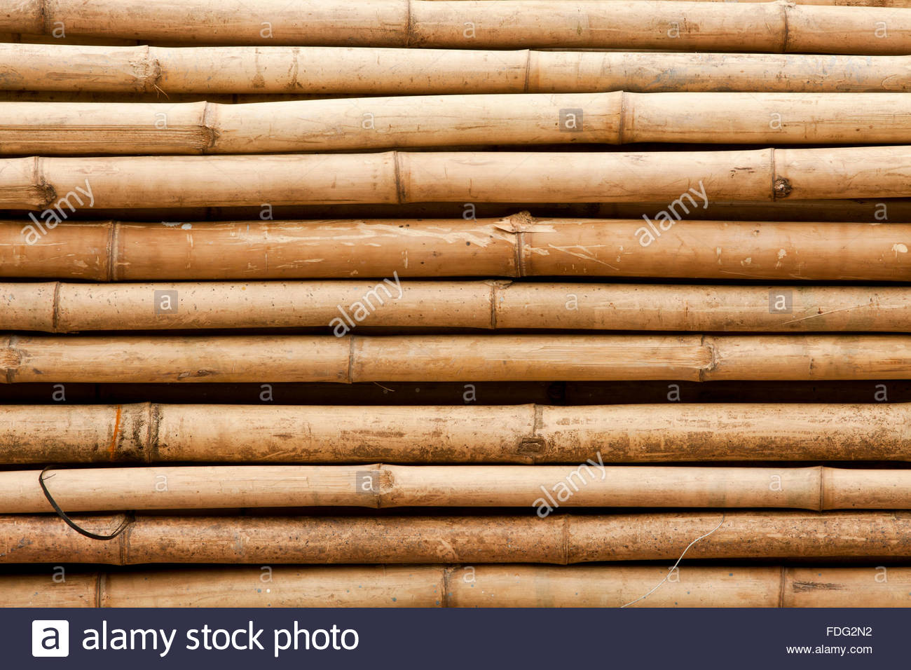 🔥 Free download Bamboo sticks background Stock Photo [1300x956] for