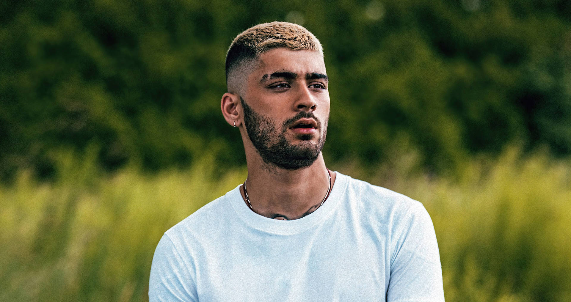 Zayn Malik Profile Wallpaper