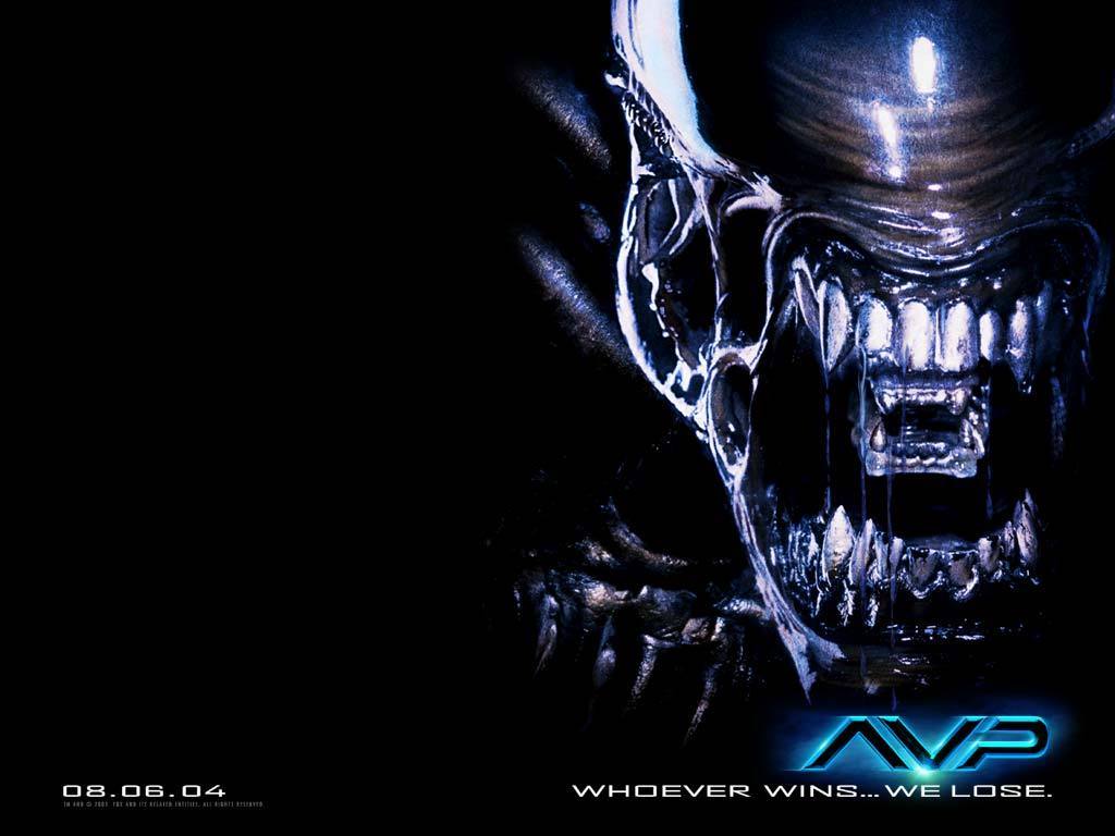 The Alien Films Image Avp Wallpaper HD And