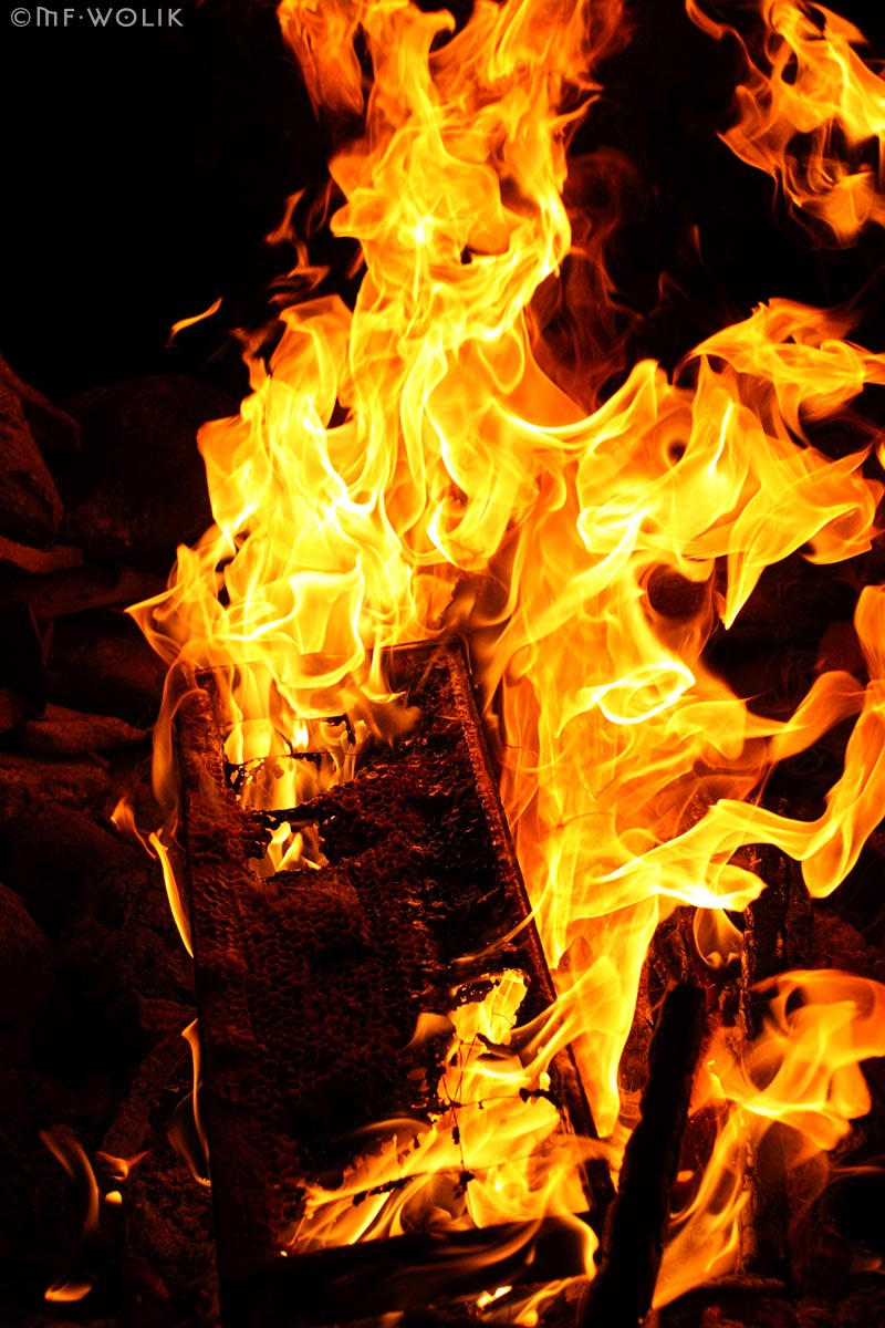 Fire Mf Wolik Photography Wallpaper