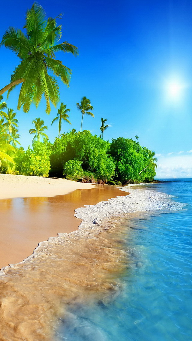 Tropical Beach iPhone Wallpaper Area HD