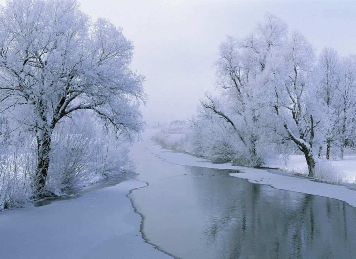 Winter Solstice Wallpaper