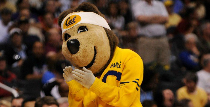 Uc Berkeley Golden Bears Cal Mascot Monday Oski Jpg