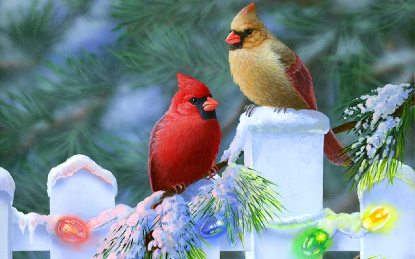 Winter Cardinal Bird Widescreen Desktop Wallpaper Attachment