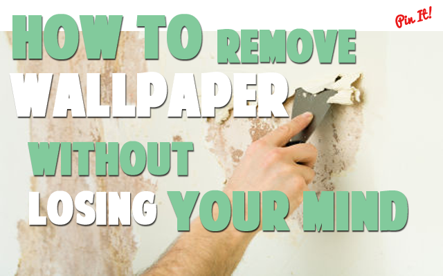 Free Download How To Remove Wallpaper With Chemical Wallpaper Removal Apps 640x400 For Your free-download-how-to-remove-wallpaper-with-chemical-wallpaper-removal-apps-640x400-for-your