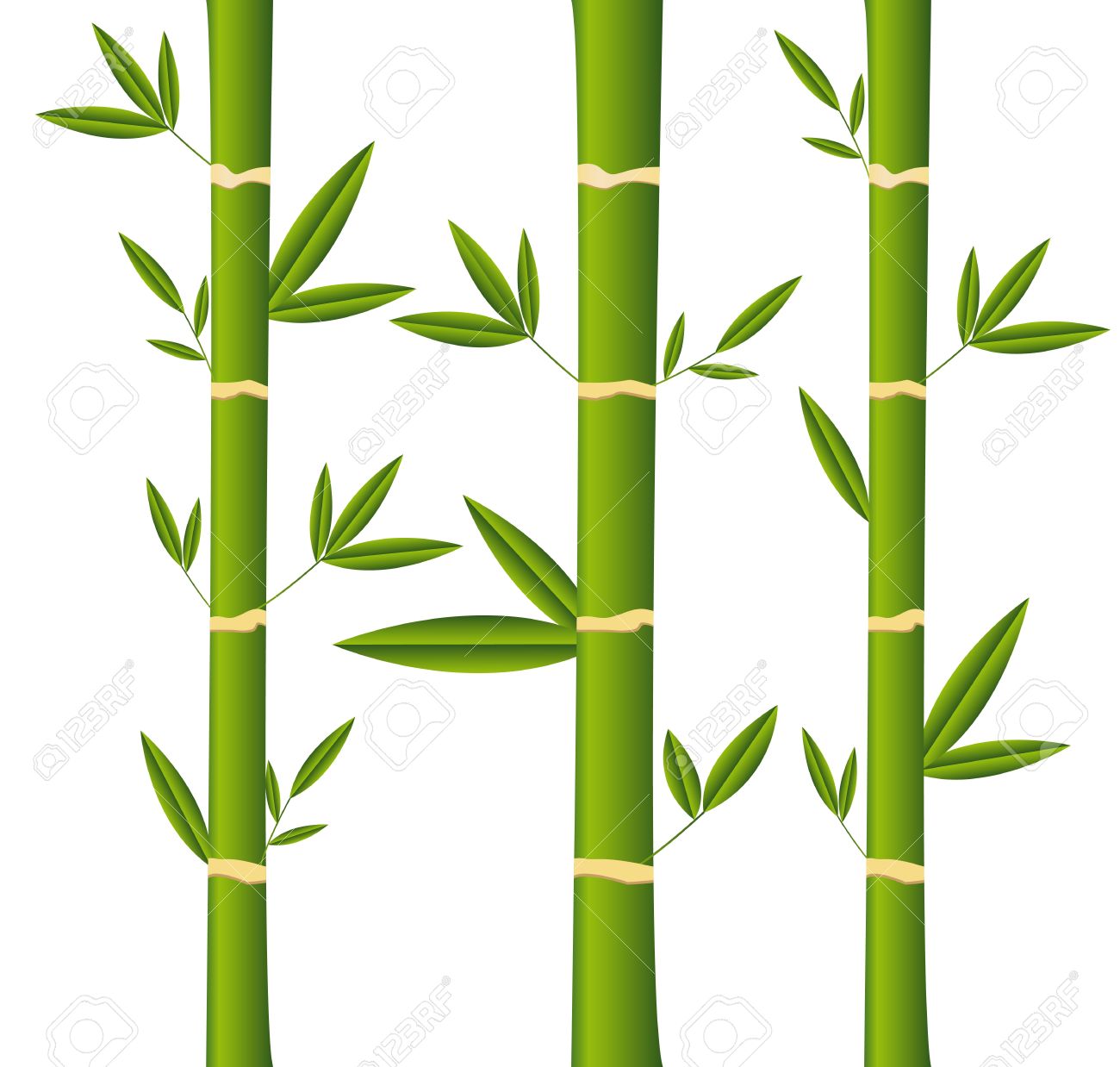 Bamboo Sticks With Leaves Over White Background Royalty