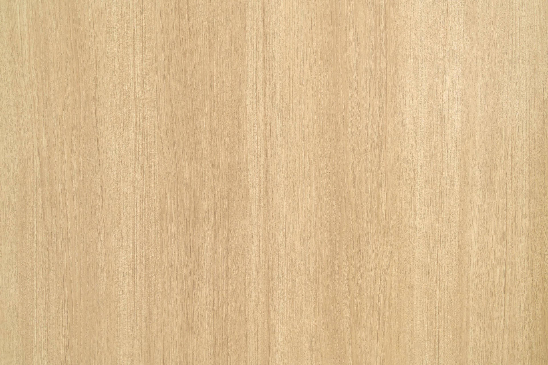 Wall Texture Wallpaper