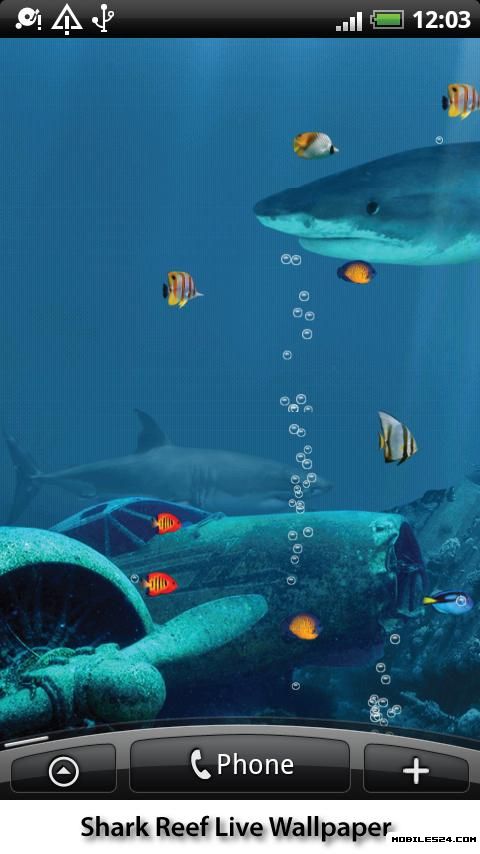 Shark Reef Live Wallpaper Android App download   Download the 480x854