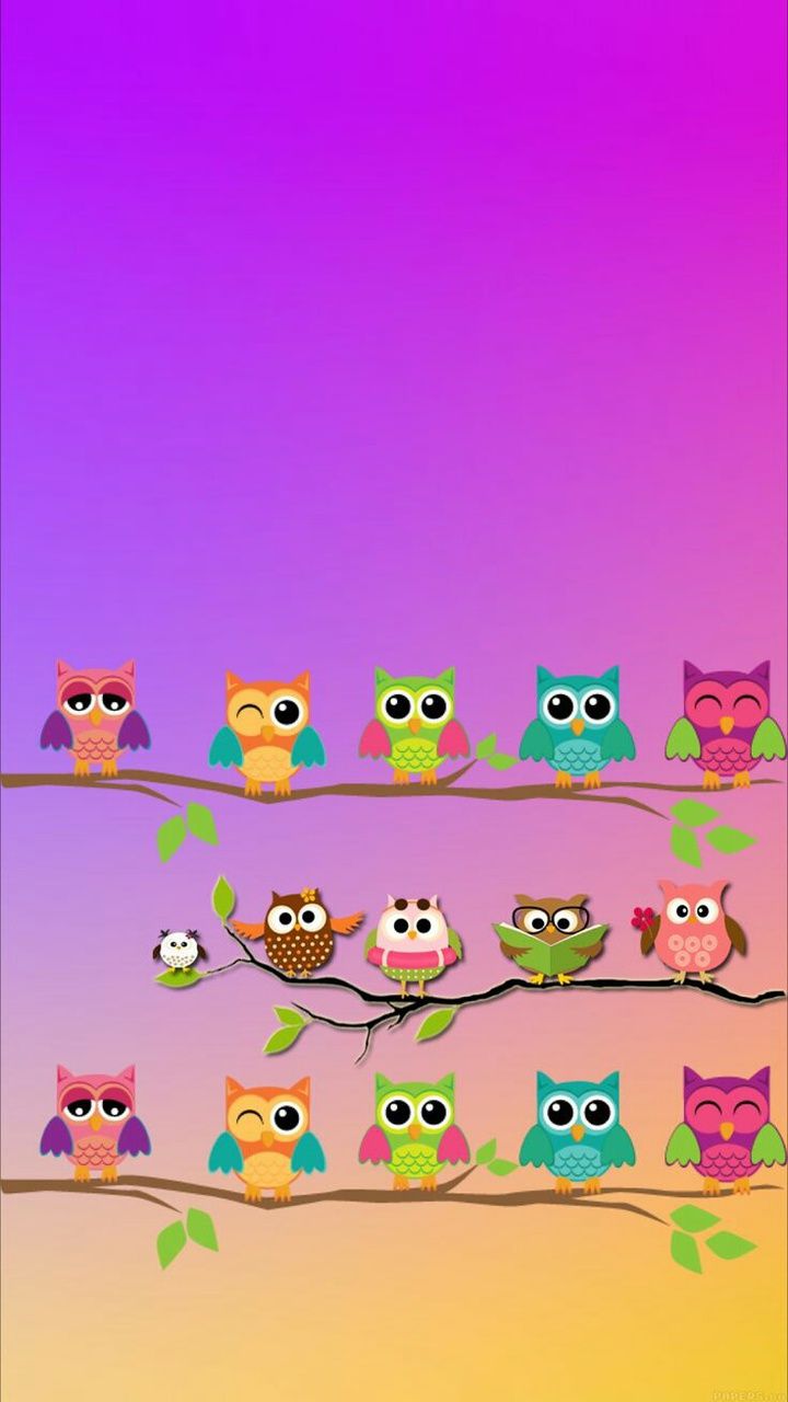 Cute Owls Live Wallpaper  Apps on Google Play