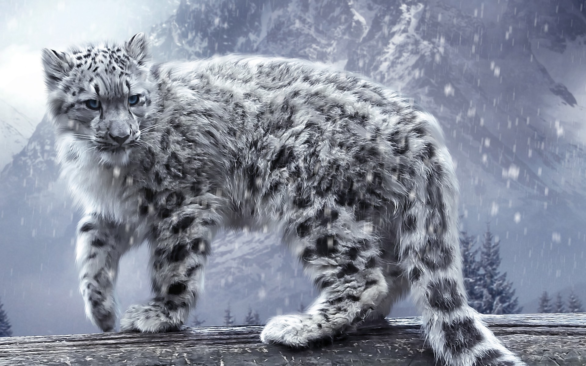 64+] Snow Leopard Background - WallpaperSafari