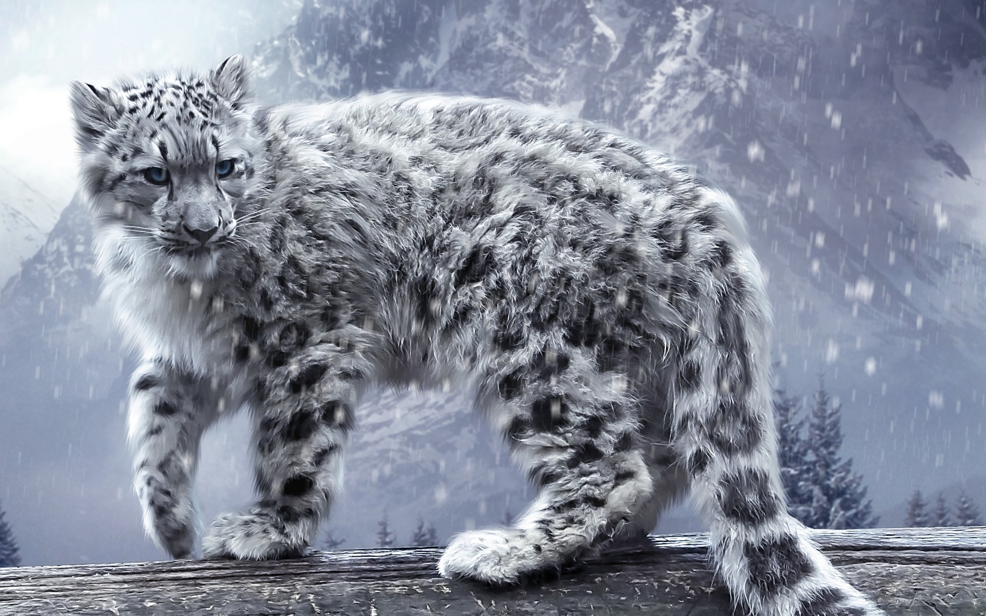 Snow Leopard Background