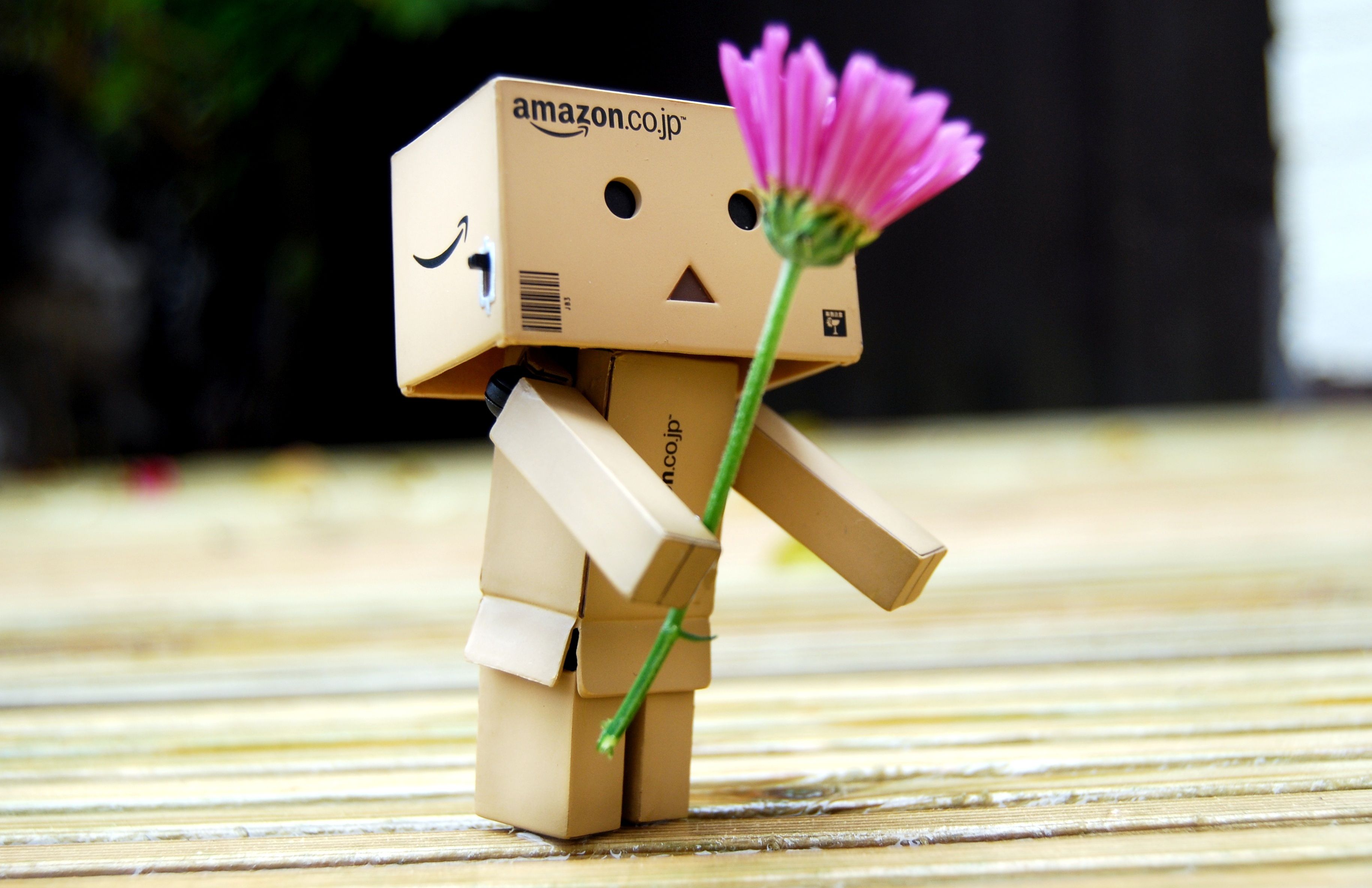Sutan Ridho On Places To Visit Danbo Box Robot