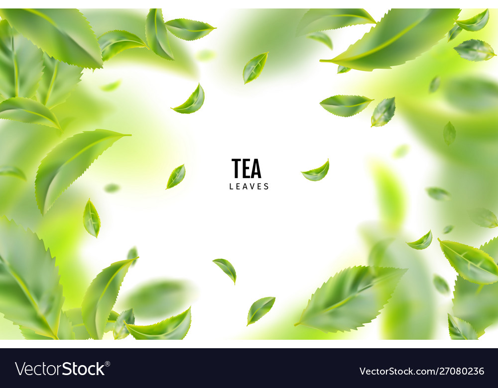 Flying Fresh Green Tea Leaves Background Vector Image