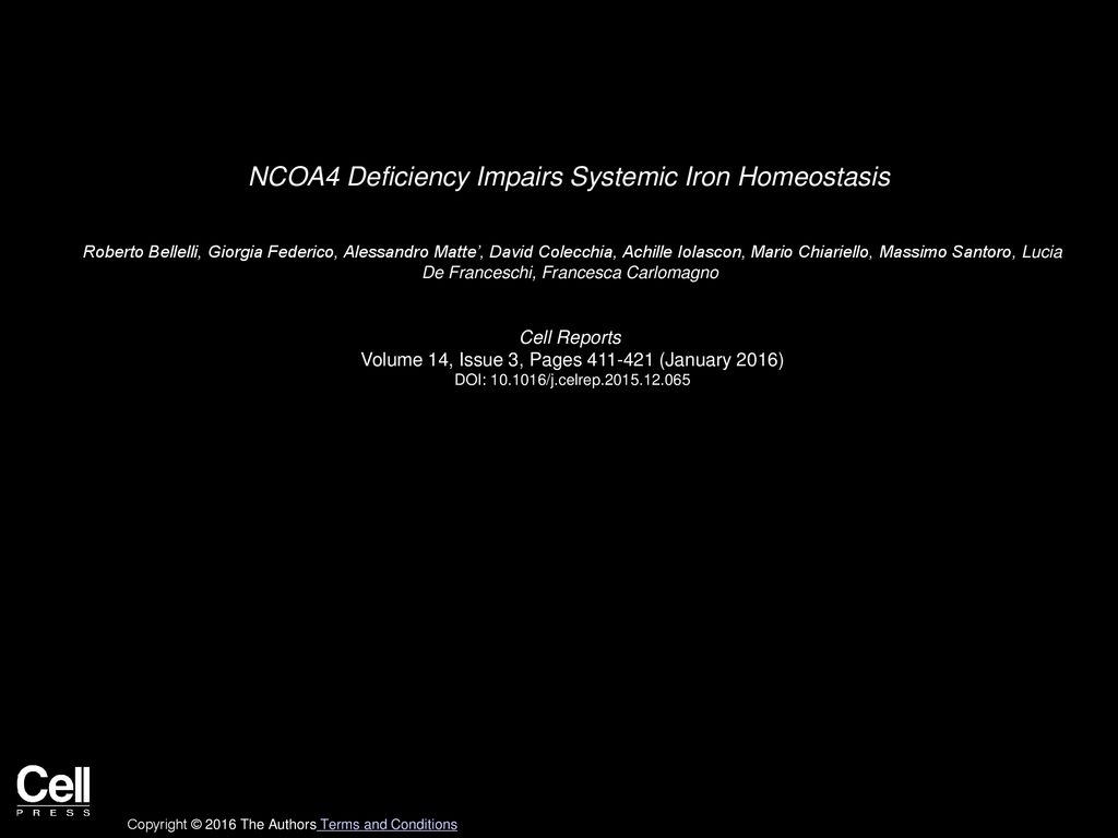 Ncoa4 Deficiency Impairs Systemic Iron Homeostasis Ppt