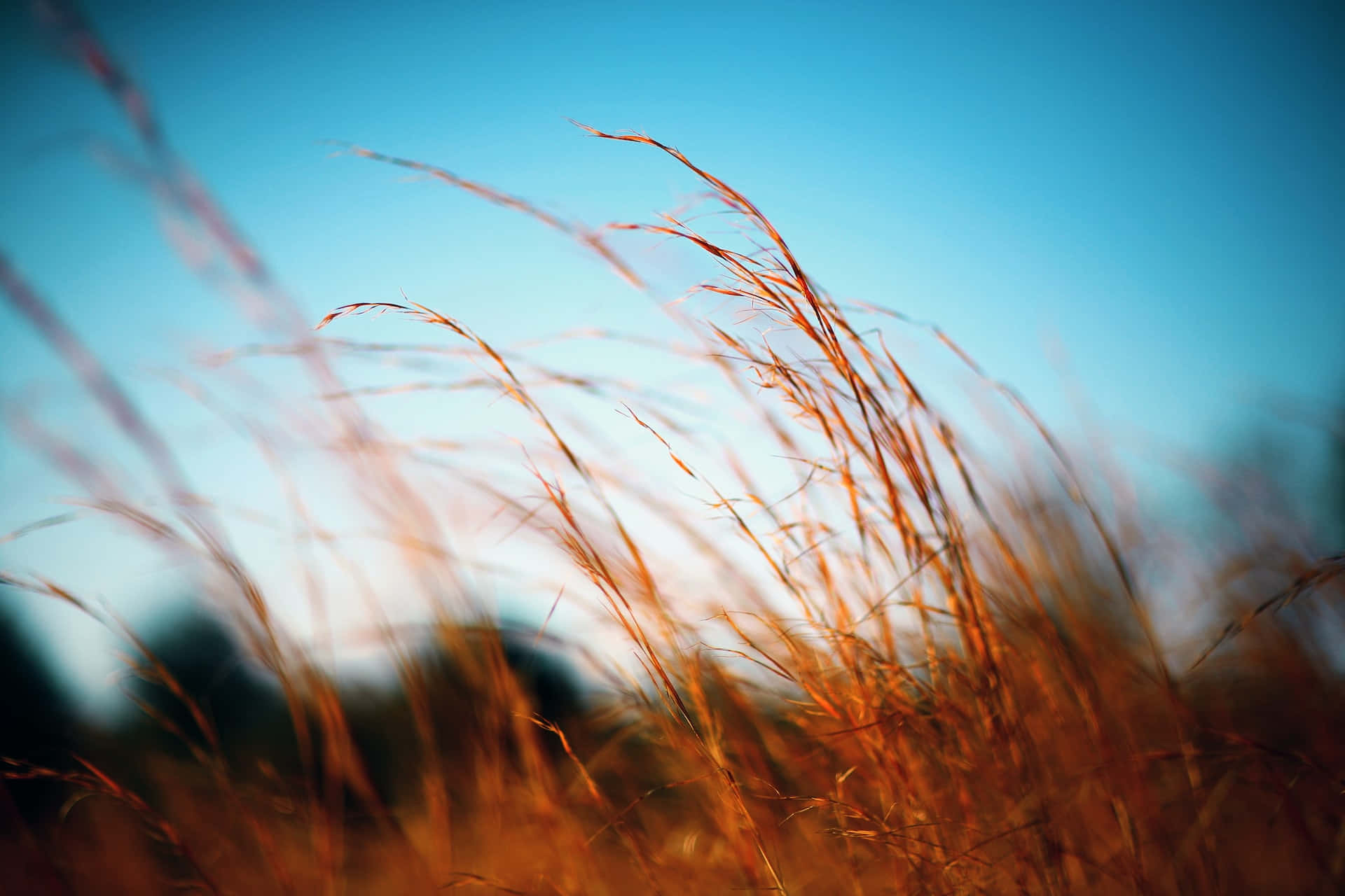 Peaceful Relaxing Wallpaper