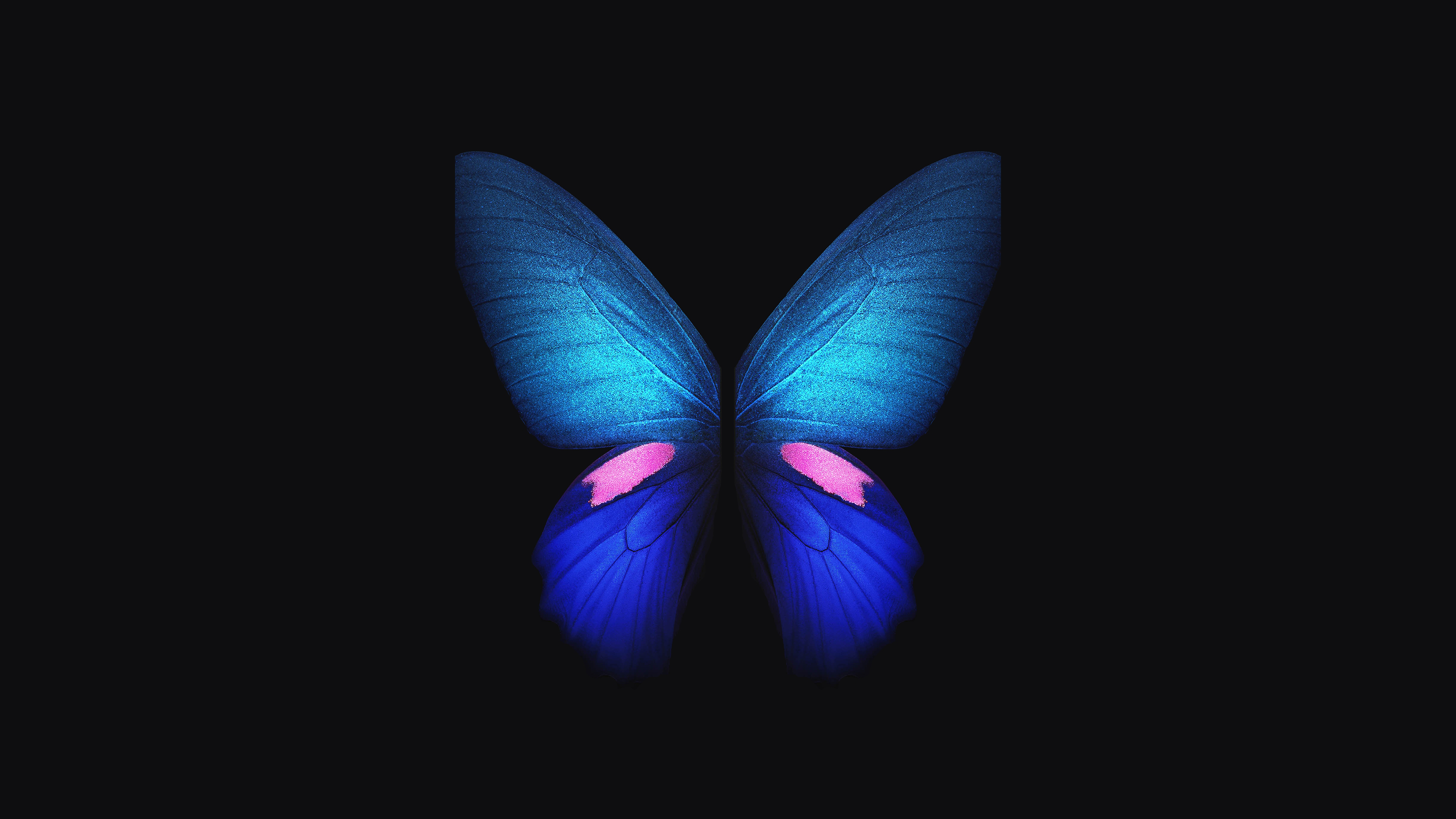 Samsung Galaxy Fold Blue Butterfly 4k Wallpaper HD