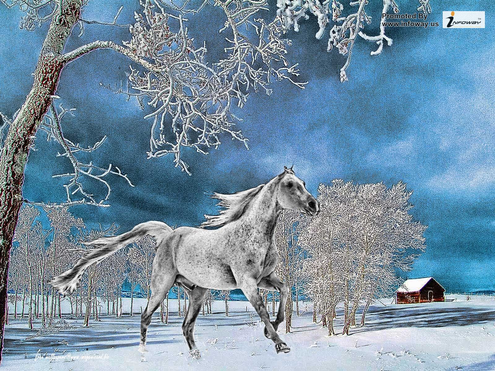 HD Wallpaper Winter Animal Horse Snow Animals Painting