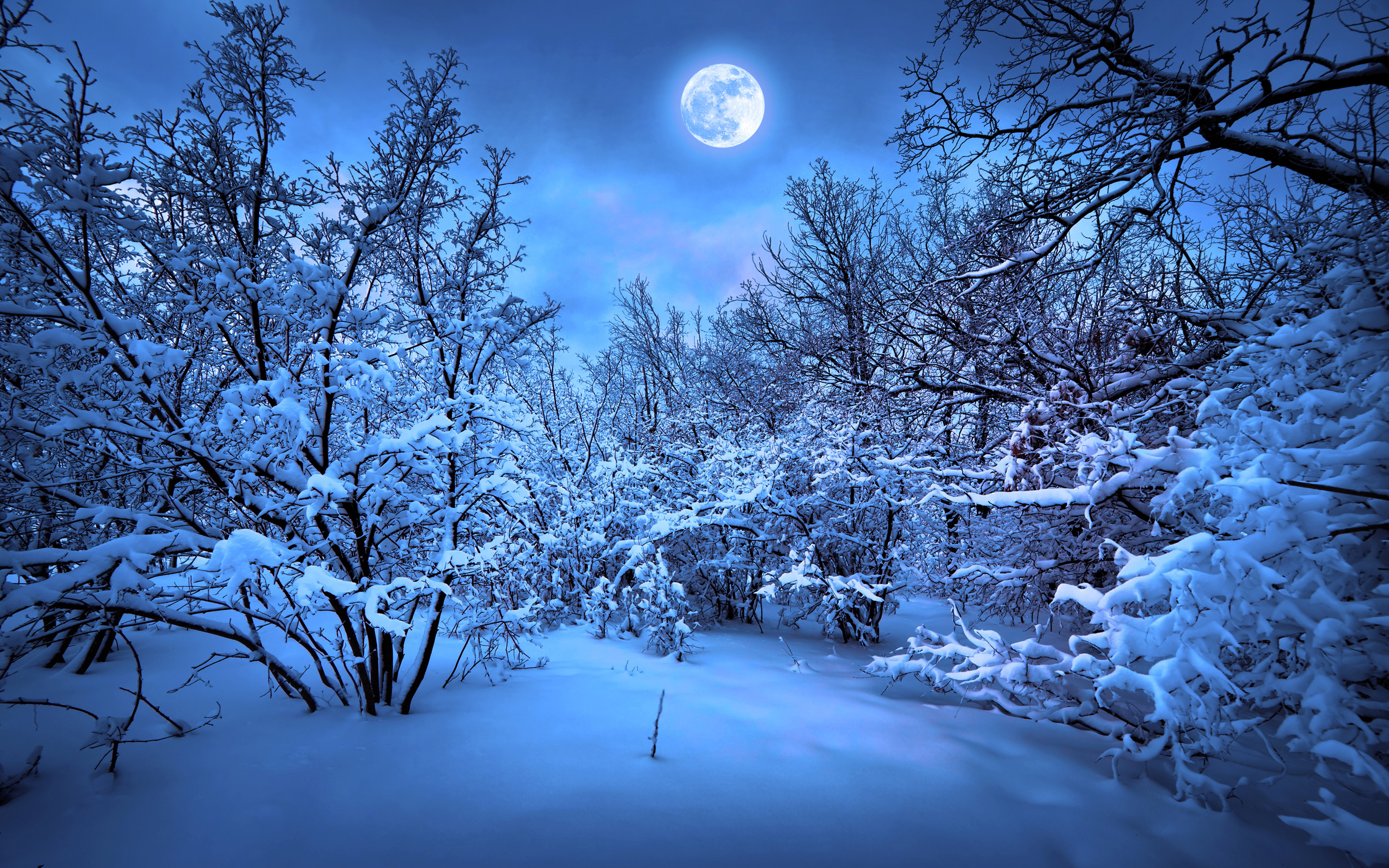 Full Moon Blue Winter Wallpaper And Stock Photos