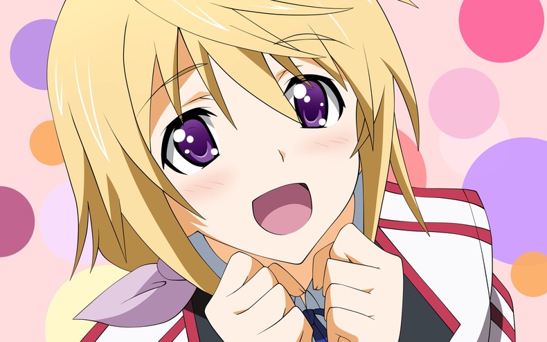 Charlotte Dunois Is Infinite Stratos Wallpaper Theanimegallery