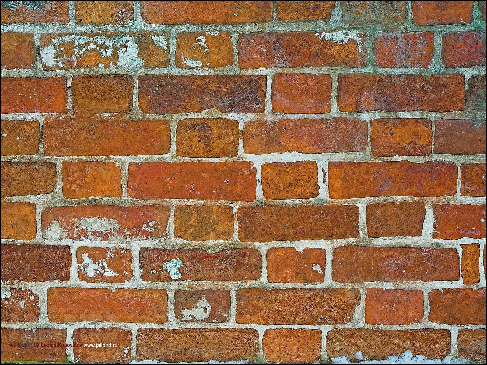 Old Brick Wallpaper HD Jpg