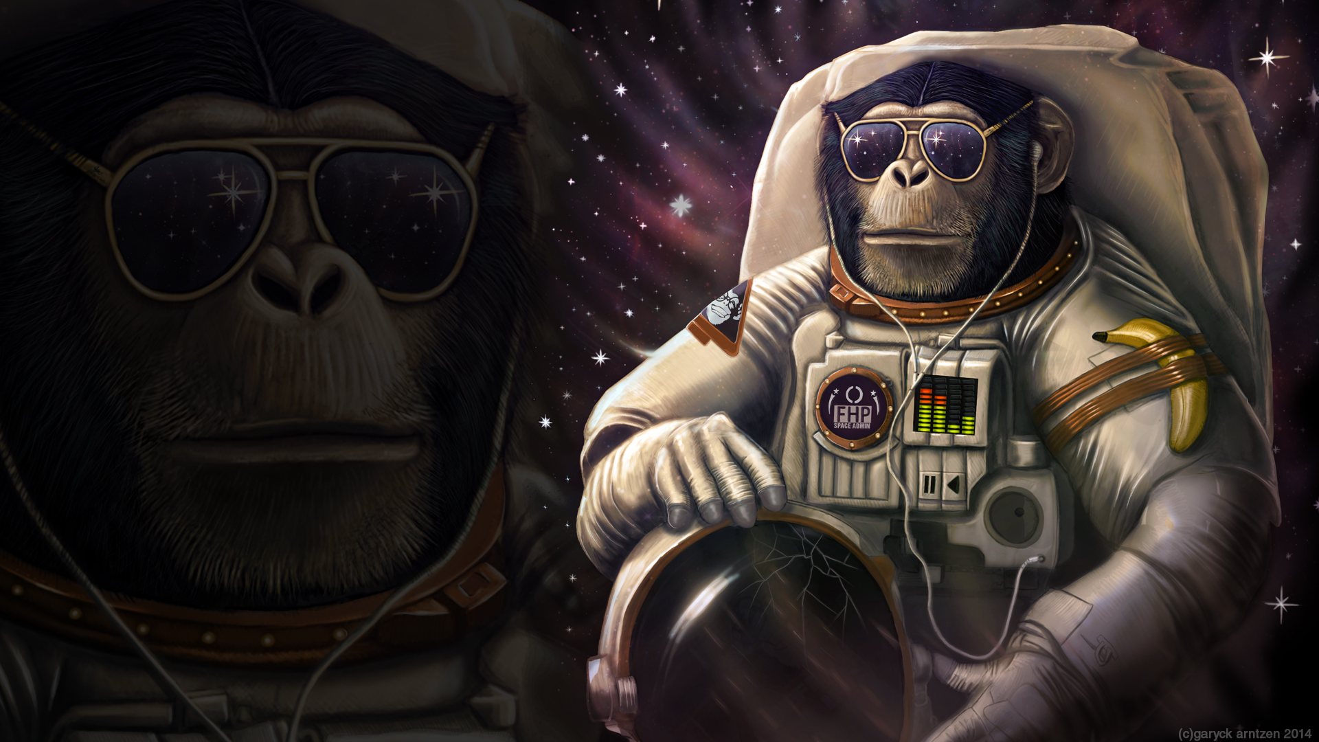 Monkey Sunglasses Astronaut WTF Banana wallpaper background