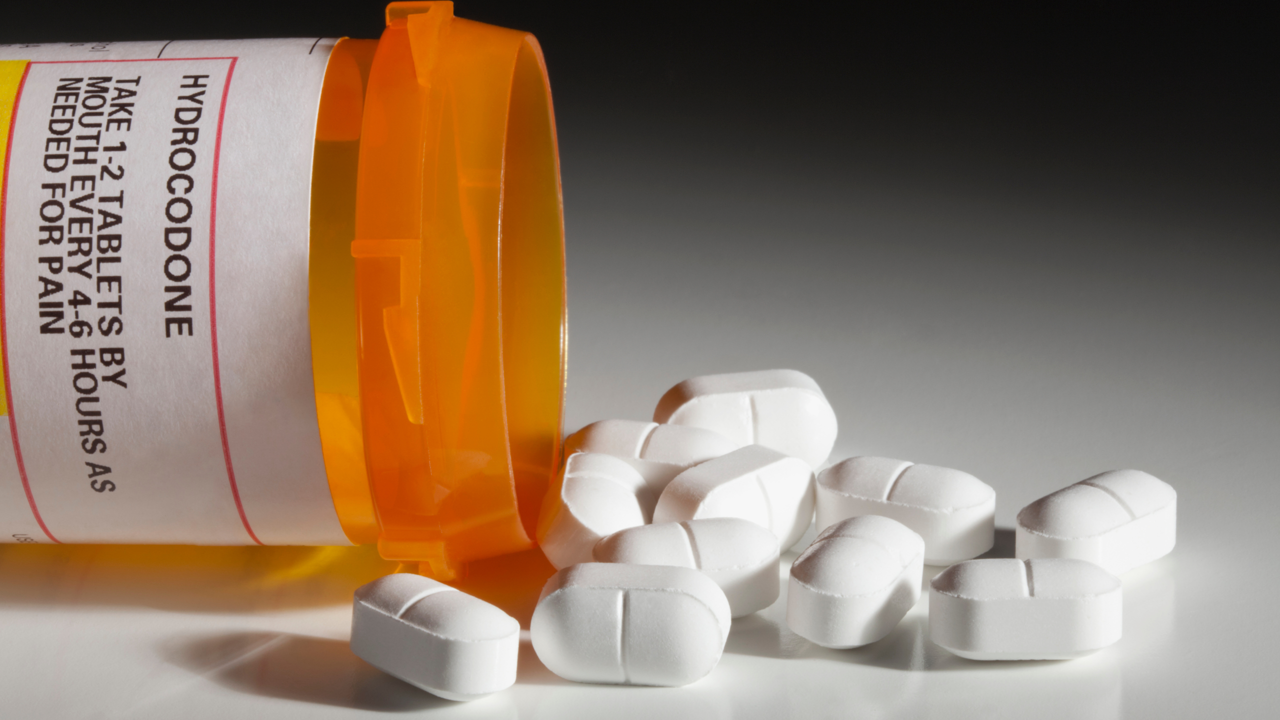 Opioid Commission Member Our Work Is A Sham