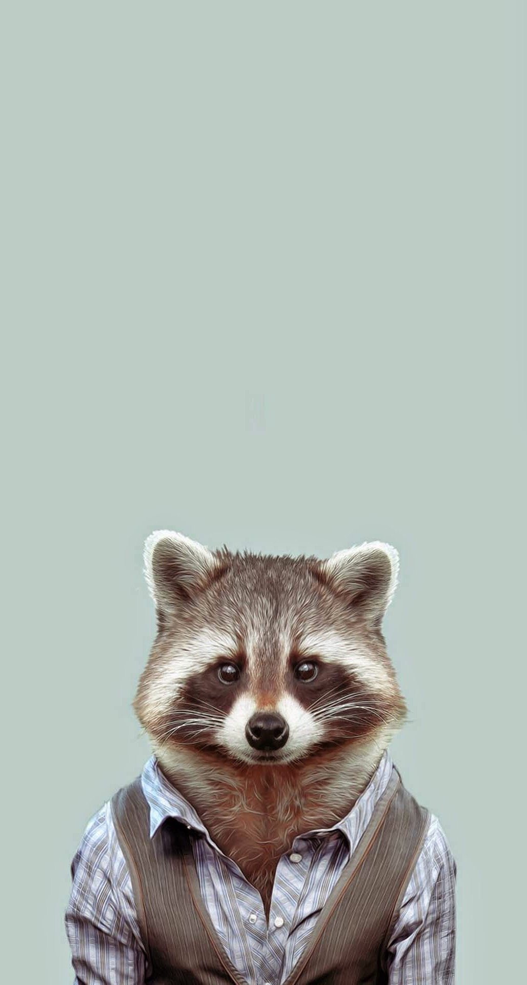 Cute Animals iPhone Wallpaper You Would Love To