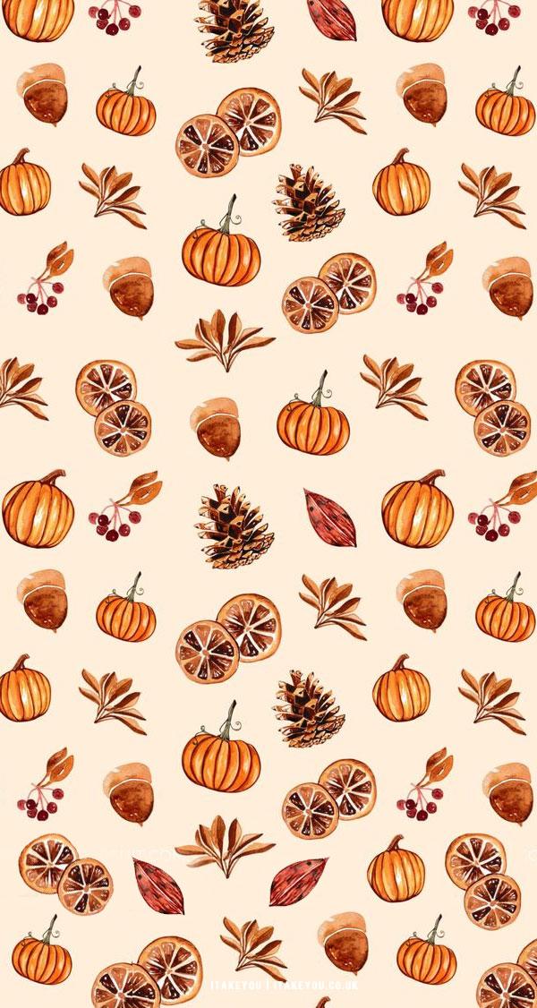 12 Cute Autumn Wallpaper Ideas Pumpkin Dried Orange I Take You