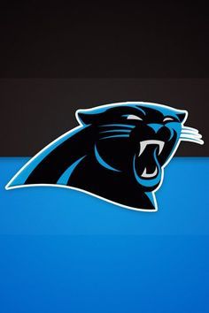 Wholesale Nfl Carolina Panthers Daryl Worley Jerseys Nike
