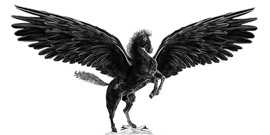 Black Pegasus By Minihook