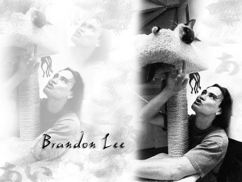 Brandon Lee Wallpaper