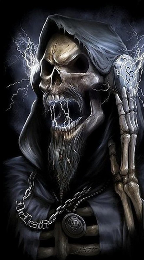Skull Wallpaper for Android  Free App Download