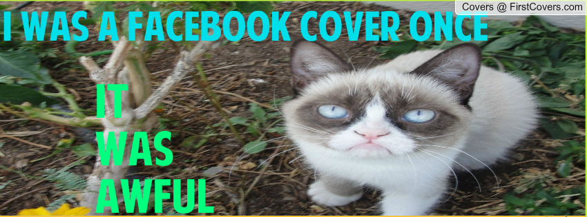 Grumpy Cat Profile Cover 1352939