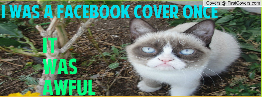 Grumpy Cat Profile Cover