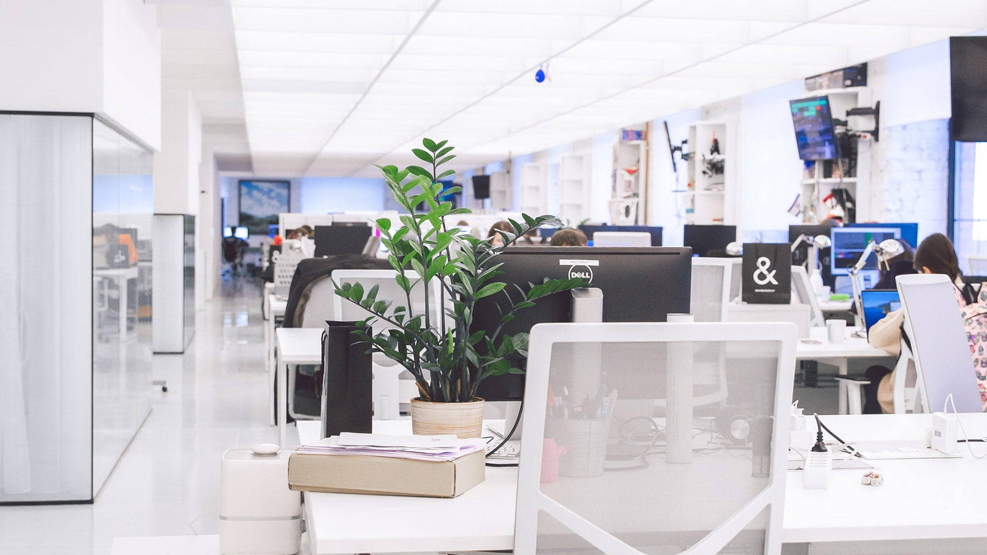 Bright Zoom Office Wallpaper