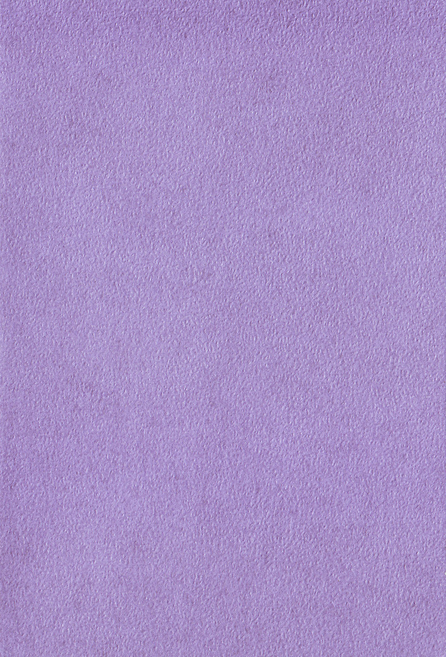 Wallpaper Lilac by tamaraR stock