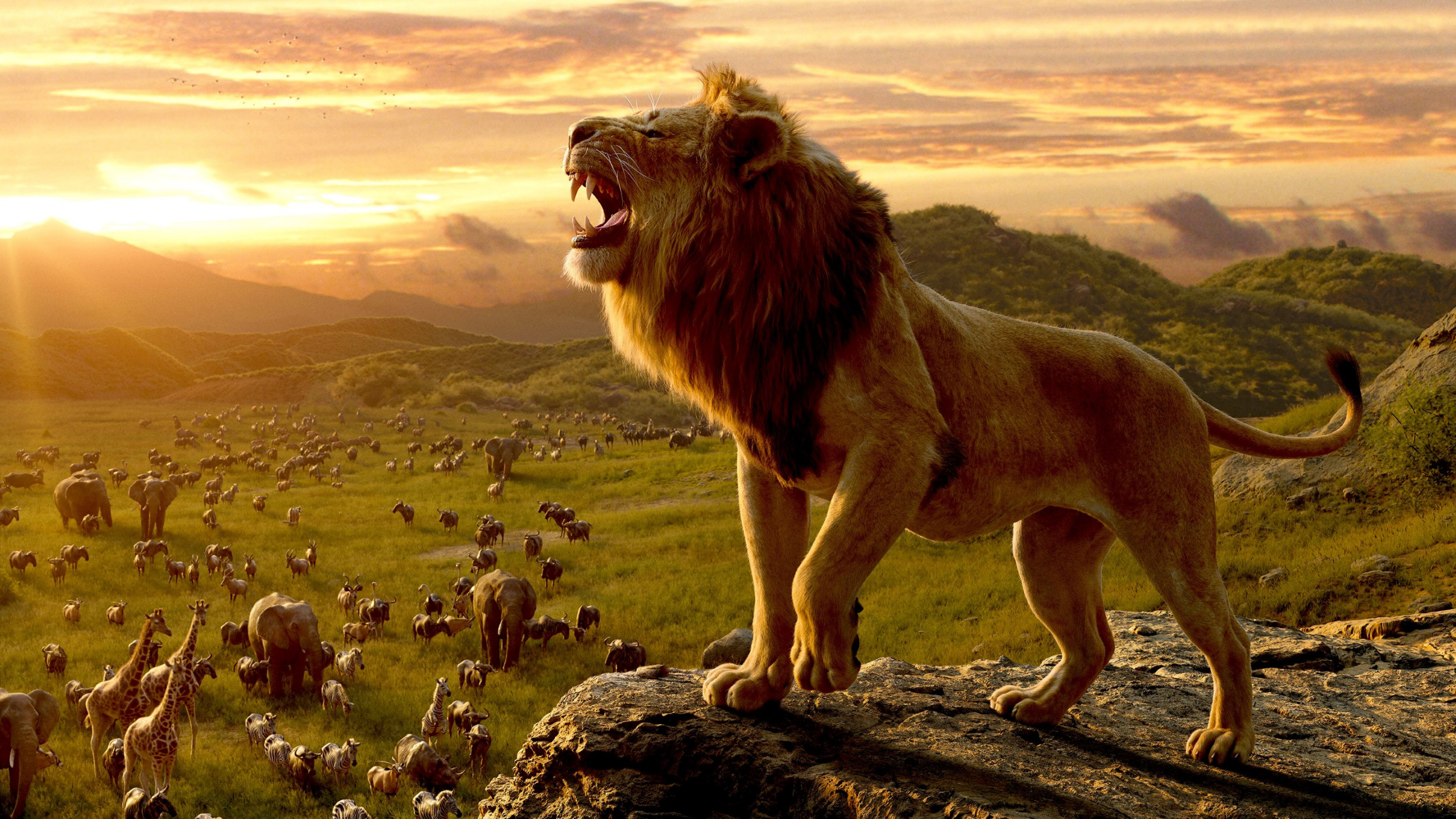 Wallpaper Simba The Lion King