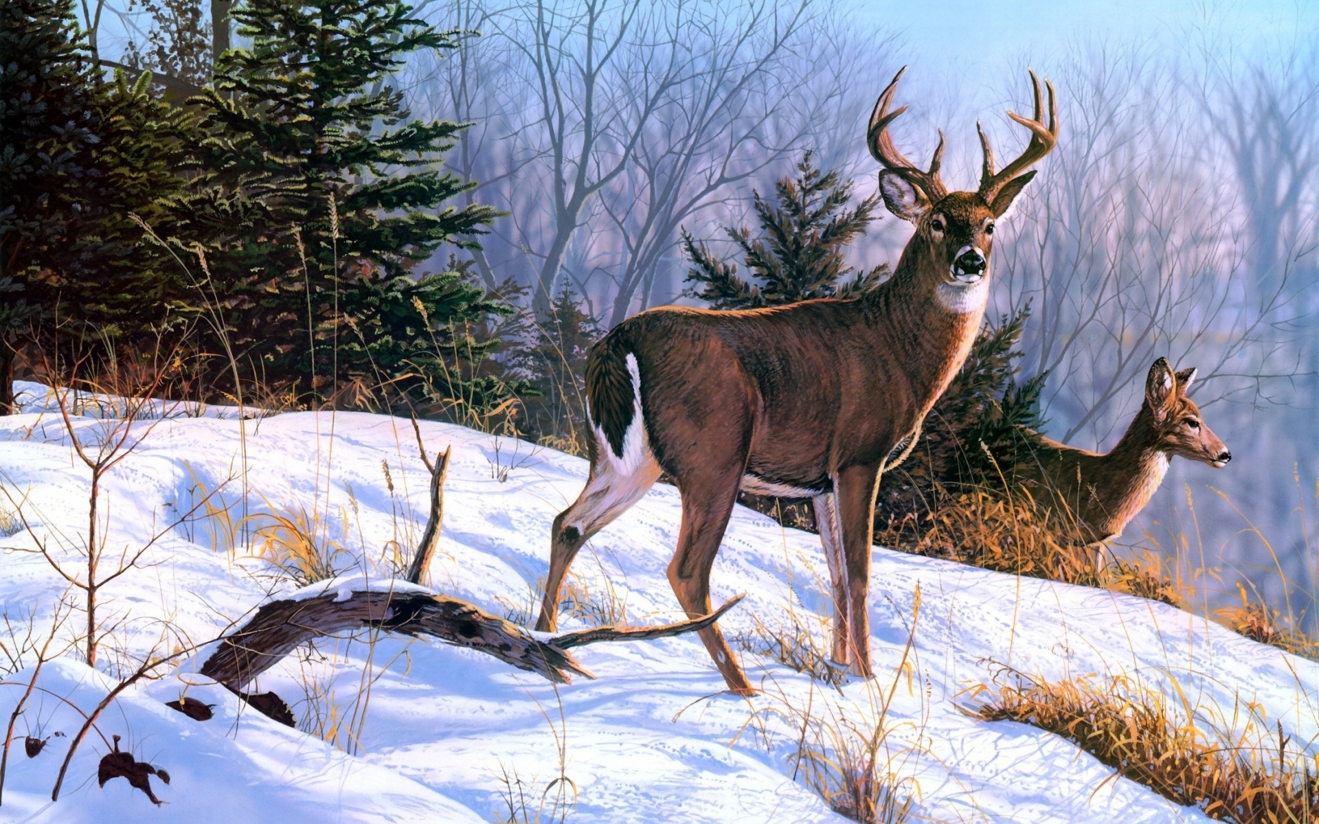 Deer Art Nature Paintings Winter Wallpaper