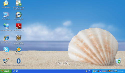Wallpaper Seashell Image Search Results