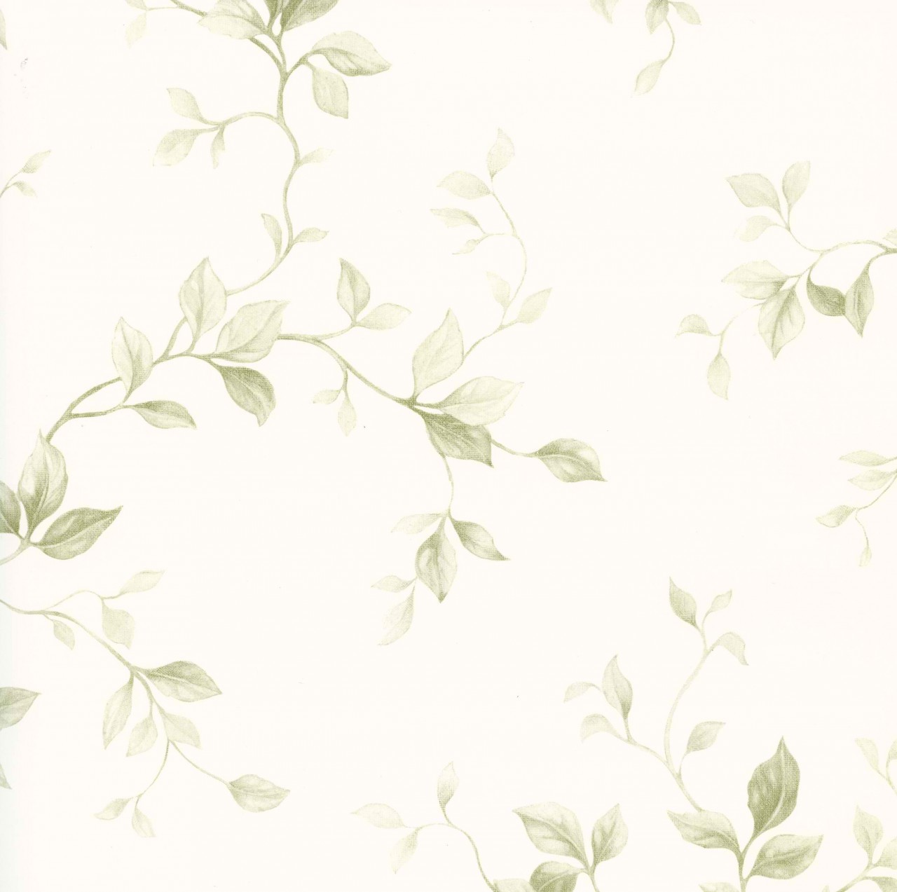 Green Cream Ckb21574 Leaf Ivy Toile Wallpaper