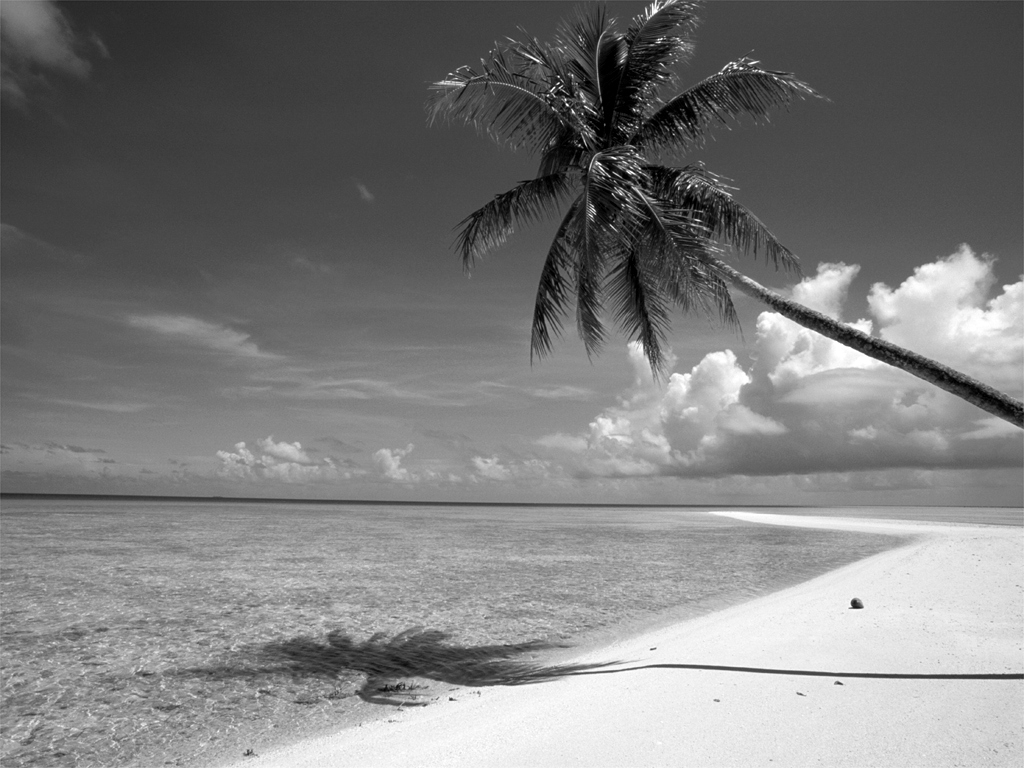 Black And White Most Beautiful Beach Wallpaper