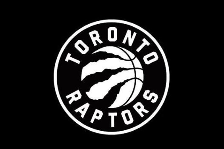 Toronto Raptors New Logo Draws Mixed Res Brooklyn S